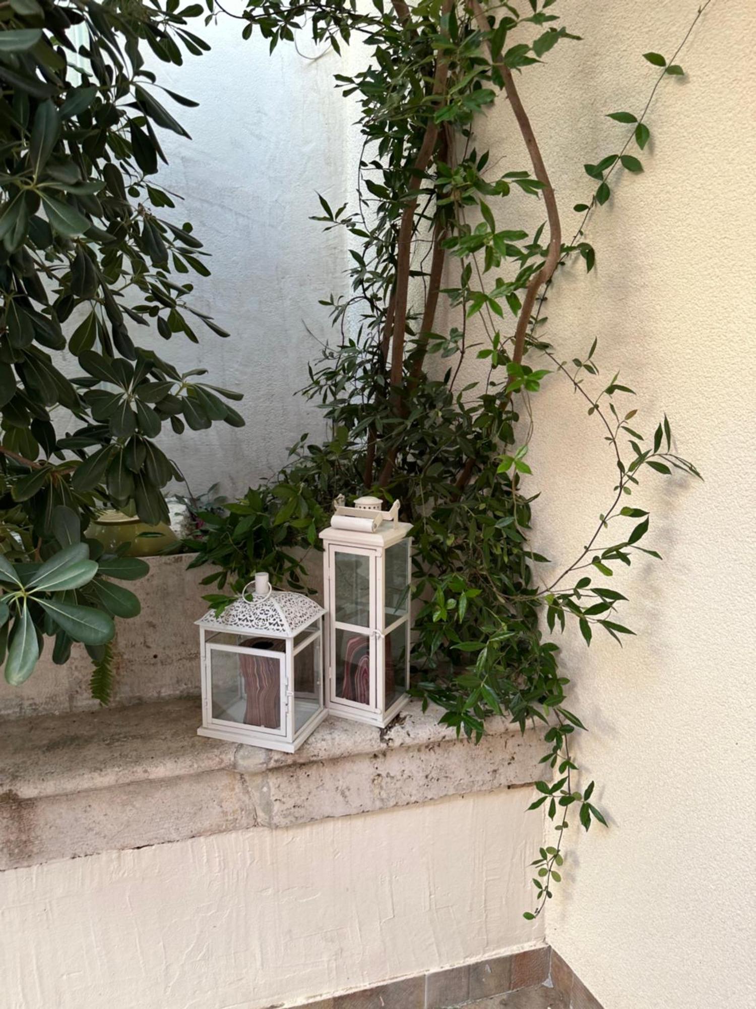 Apartment Banovac 2 Dubrovnik Eksteriør billede